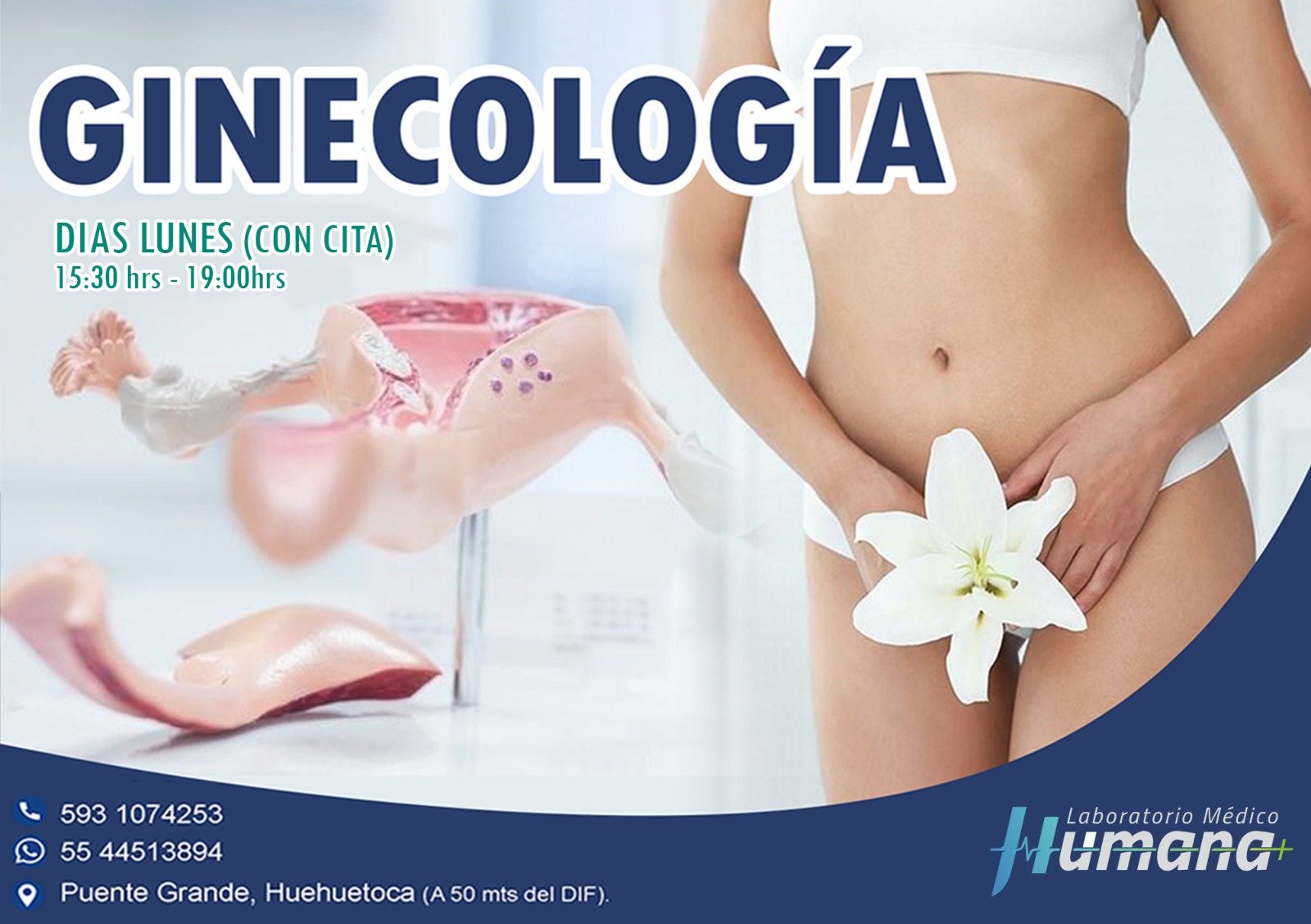 ginecologia consultas